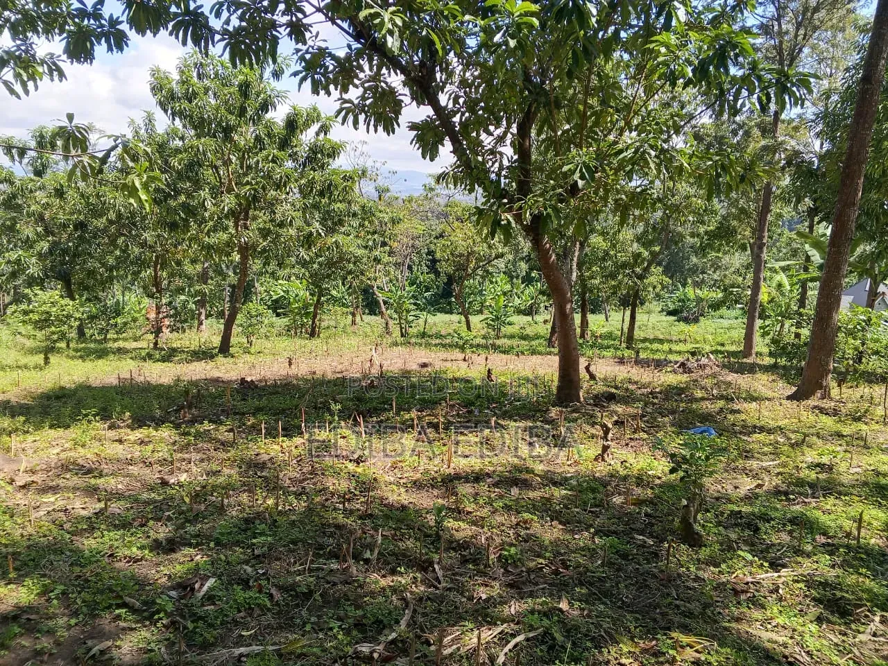 15 Acres Titled Plot for Sale in Arusha-Moshi Road