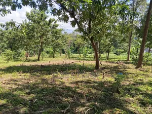 15 Acres Titled Plot for Sale in Arusha-Moshi Road