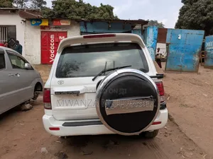 Toyota Land Cruiser 2001 Pearl