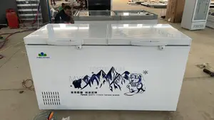 Three Rivers Chest Freezer L450 Two Doors