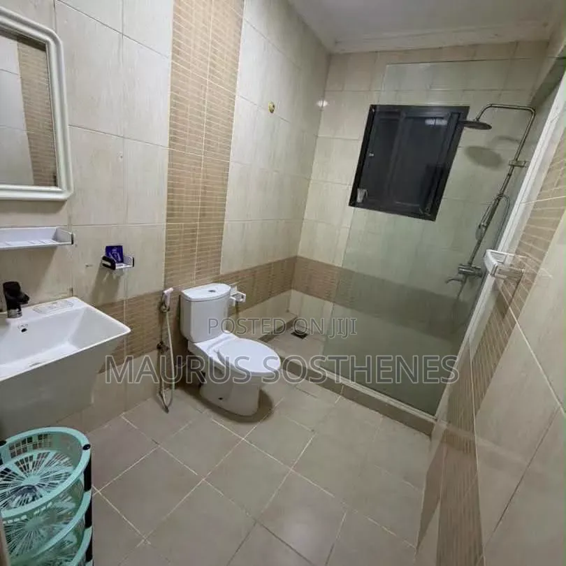 Furnished 3bdrm Apartment in Upanga for rent