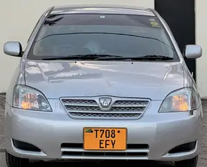 Toyota Allex 2005 Silver
