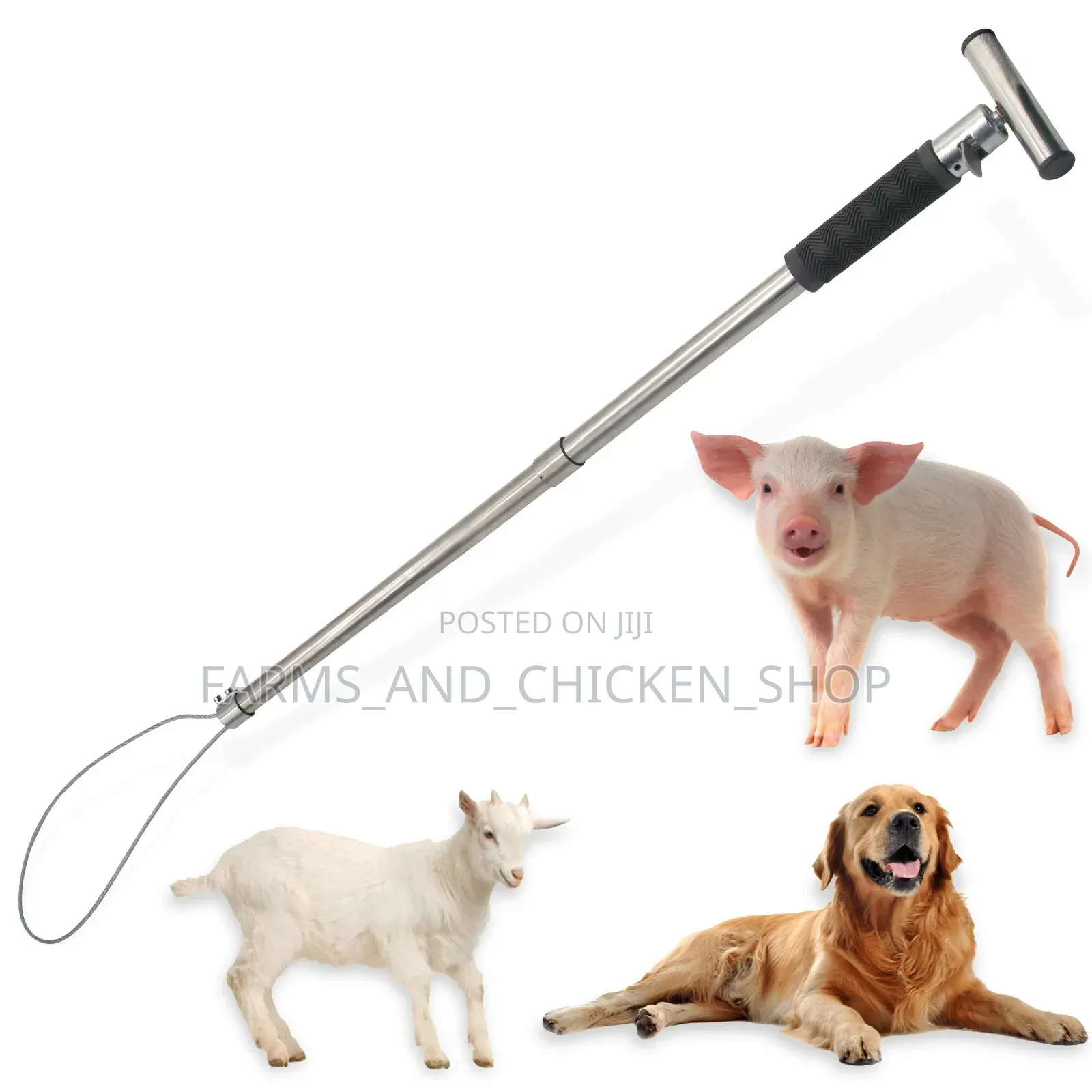 Animal Snare (Fimbo Ya Kukamatia Wanyama)