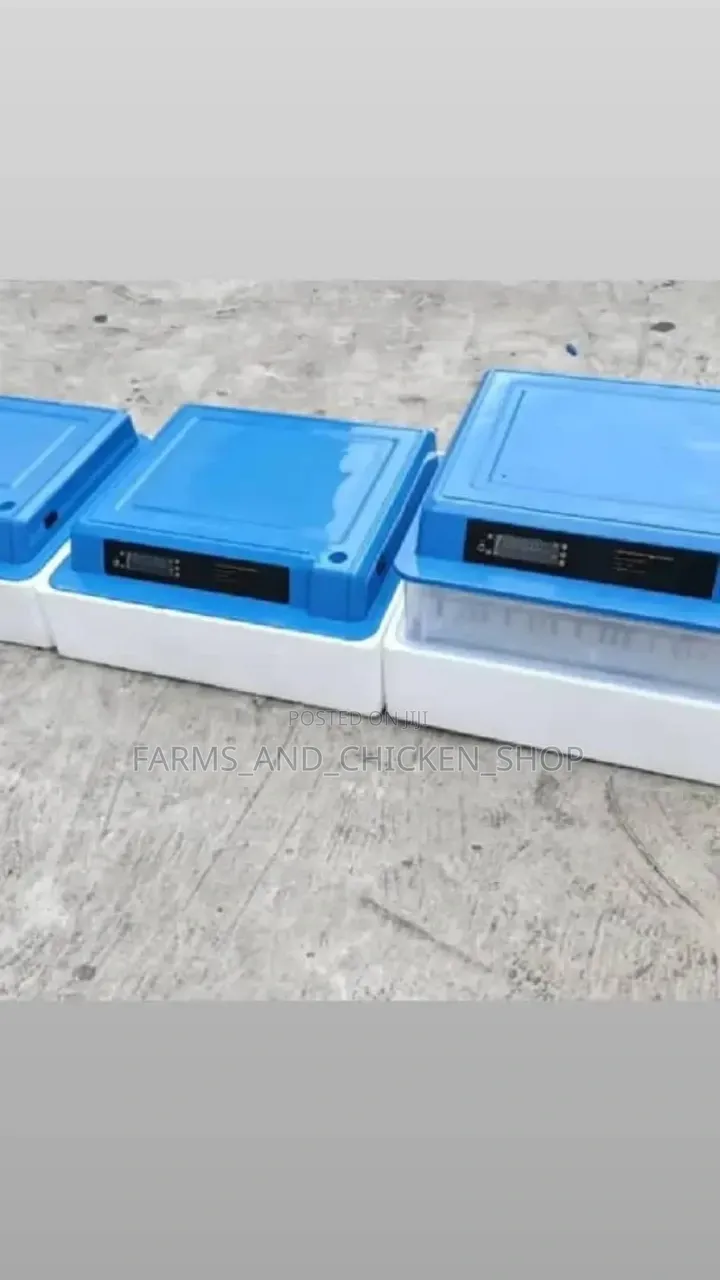Incubator Mayai 36