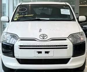 Toyota Probox 2004 White