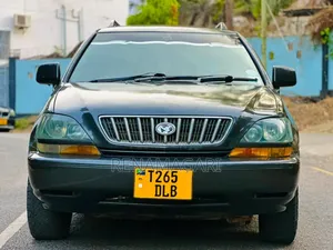 Toyota Harrier 2002 Gray