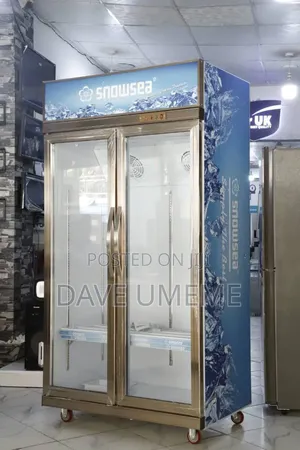 Snow Sea Refrigerator