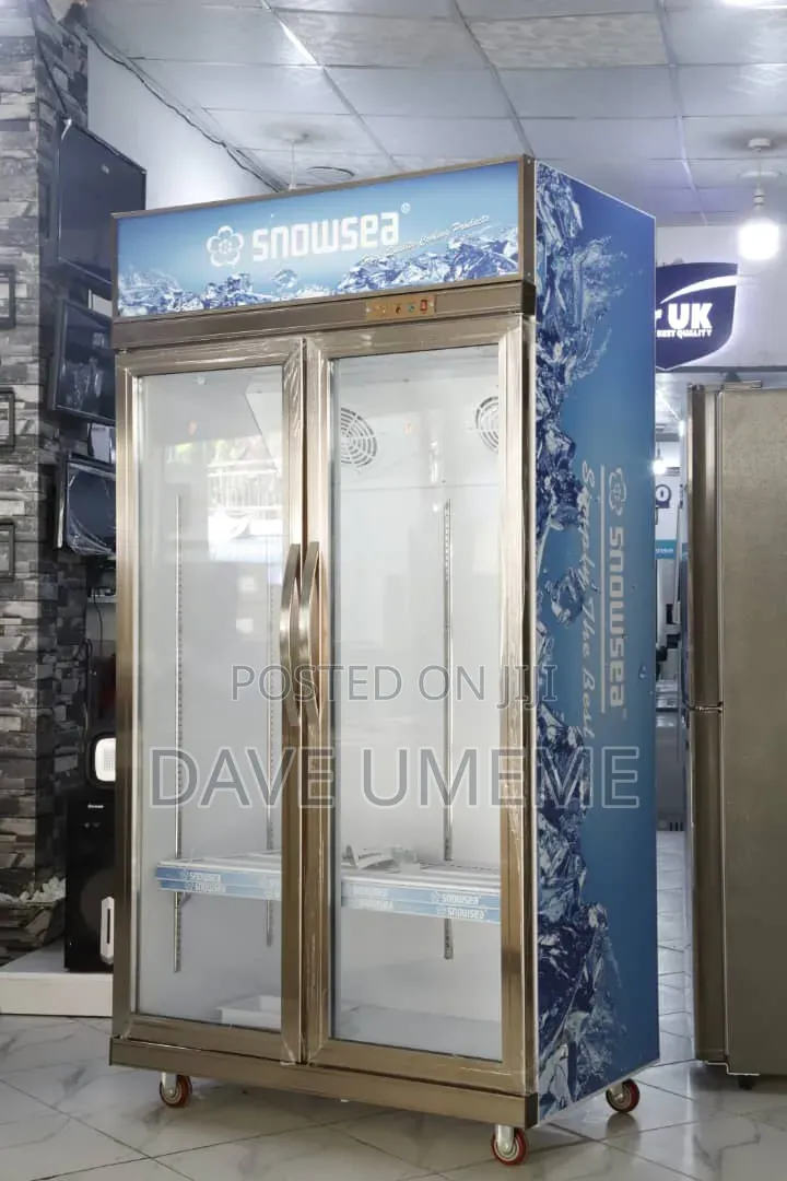 Snow Sea Refrigerator