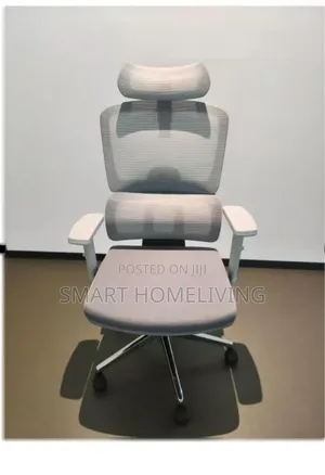 High-Back Ergonomic Mesh Office Chair