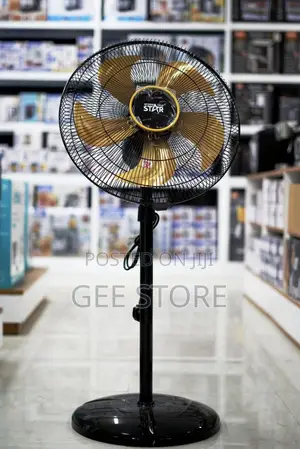 Winning Star Electric Floor Fan (Breez Modes)