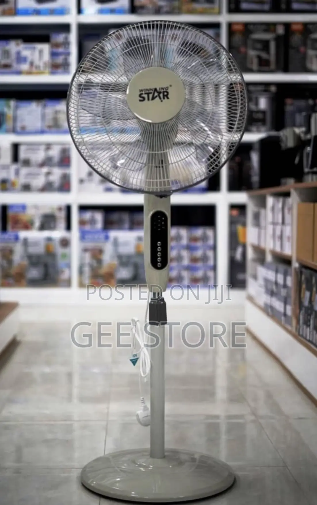 Standing Fan 55watts (Timer and Mode Breez)
