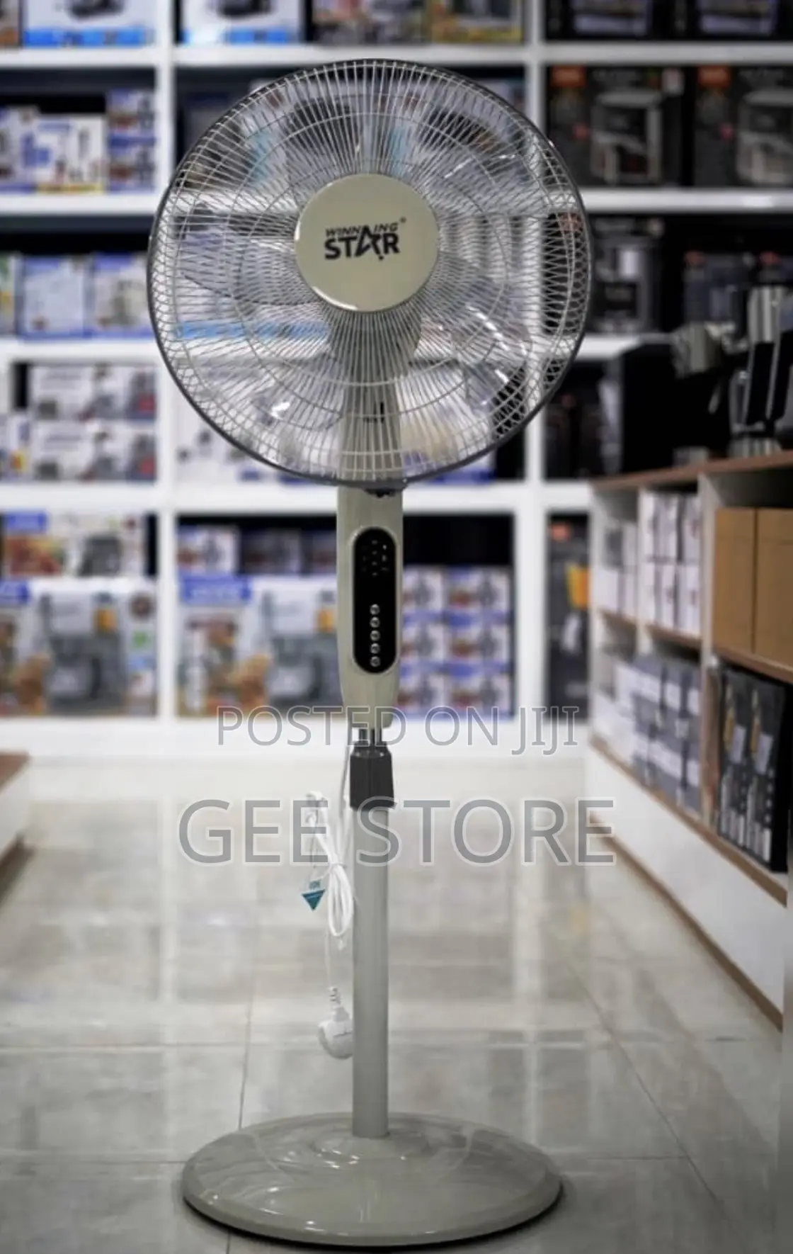 Standing Fan 55watts (Timer and Mode Breez)