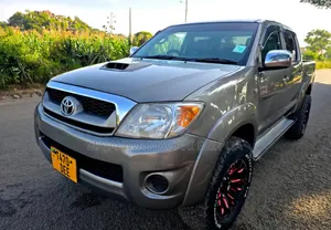 Toyota Hilux 2009 Gray