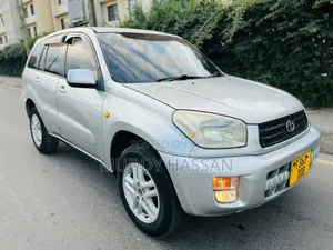 Toyota RAV4 2004 Silver