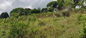 12 Acres Industrial Plot for Sale at Mkuranga