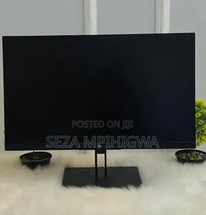 Z23 Flameless Monitor (23”)