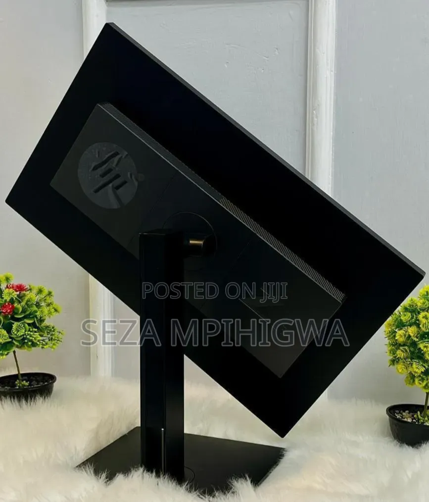Z23 Flameless Monitor (23”)