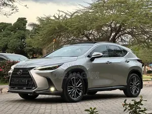 Lexus NX 2022 Silver