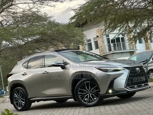 Lexus NX 2022 Silver