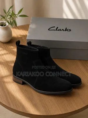Stylish Clarks Men's Shoes