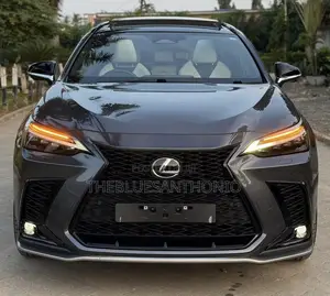 Lexus NX 2024 Gray
