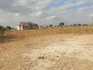 Heka Tatu Zinauzwa Dodoma Mundemu