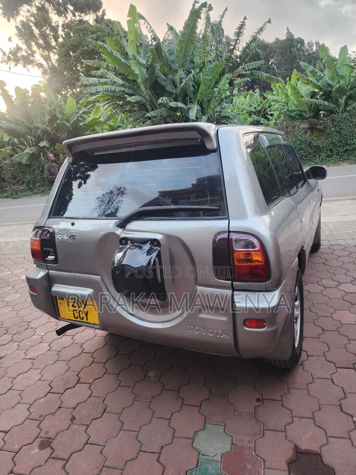 Toyota RAV4 Cabriolet 1998 Silver