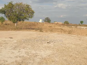 Heka Tatu Zinauzwa Dodoma Mundemu