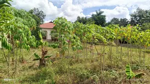 Plot Sale Kibamba