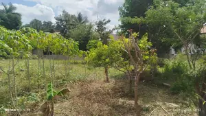 Plot Sale Kibamba