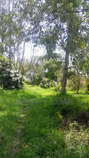 Kiwanja (Plot) Size 7212 Sqmfor Sale Arusha Sakina