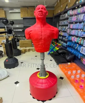 Standing Punching Bag