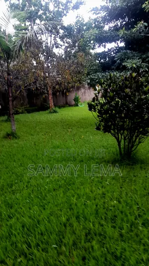 4bdrm Mansion in Sammysaidrealestate, Moshono for rent