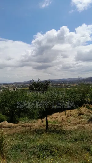 5bdrm Farm House in Sammy Saidy Real, Mateves for sale