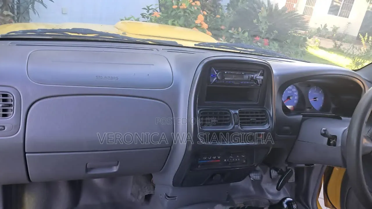 Nissan Hardbody 2019 Yellow