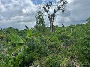 Beach Plot for Sale at Zanzibar