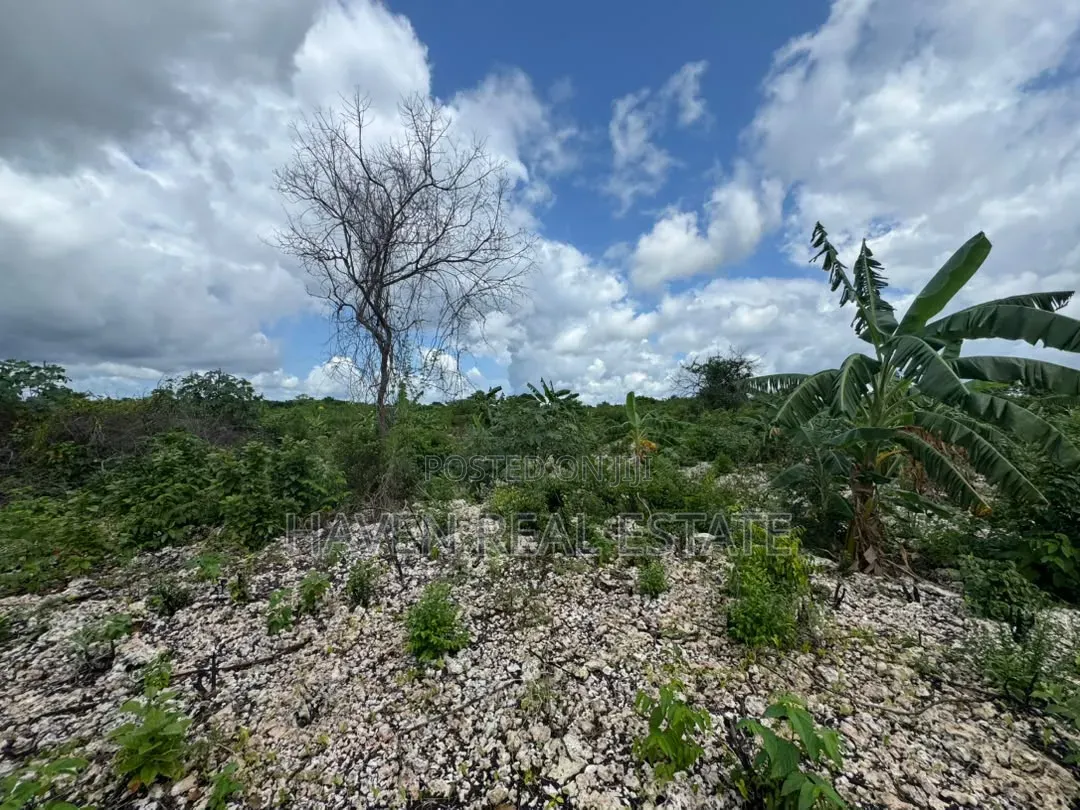Beach Plot for Sale at Zanzibar