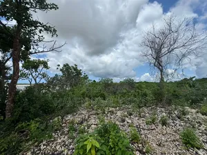 Beach Plot for Sale at Zanzibar
