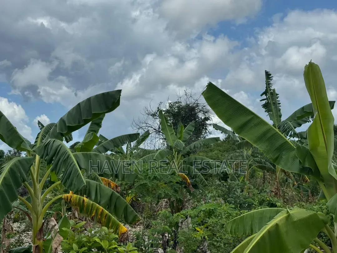 Beach Plot for Sale at Zanzibar