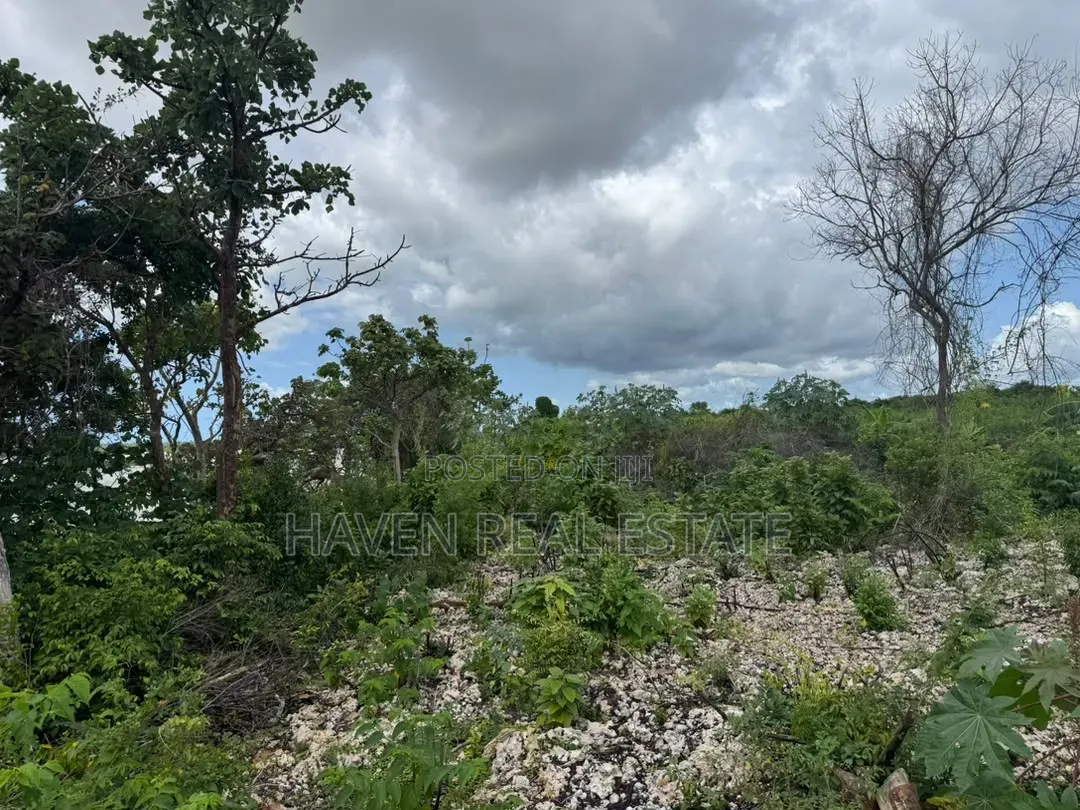Beach Plot for Sale at Zanzibar