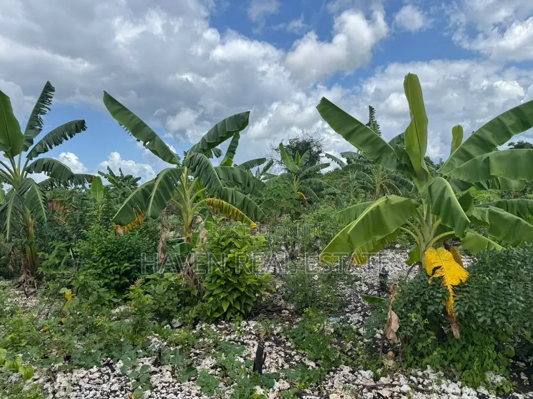 Beach Plot for Sale at Zanzibar