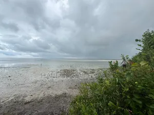 Beach Plot for Sale at Zanzibar