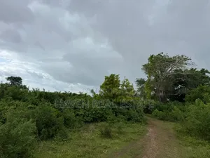 Beach Plot for Sale at Zanzibar