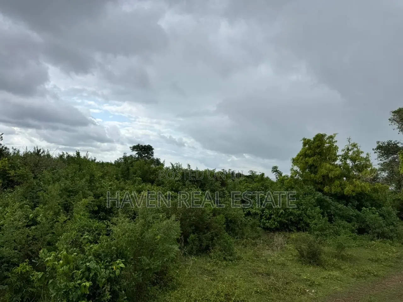 Beach Plot for Sale at Zanzibar