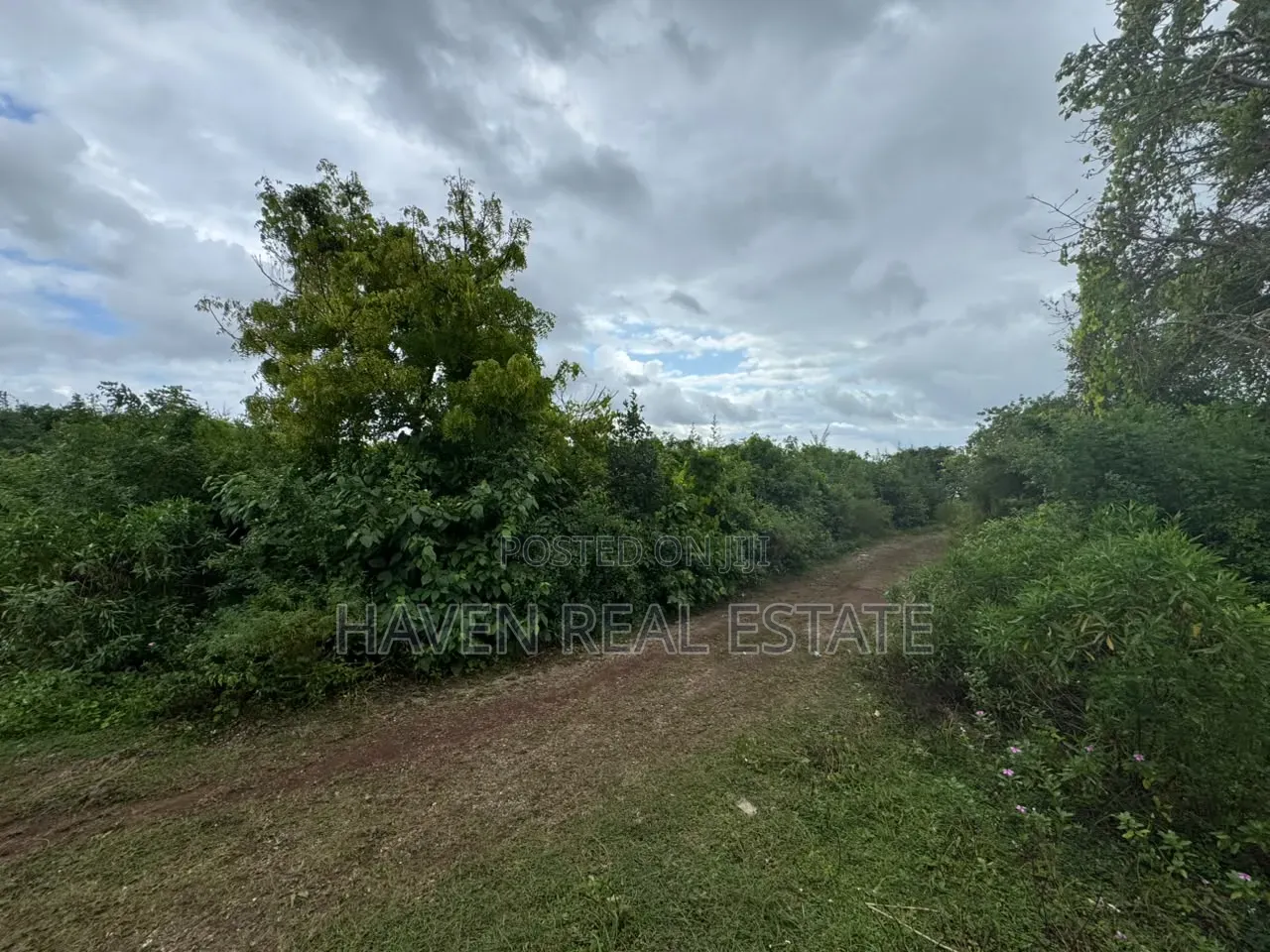 Beach Plot for Sale at Zanzibar