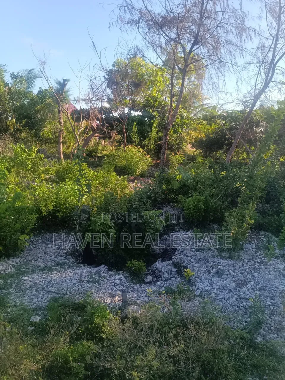 Plot for Sale at Paje Zanzibar