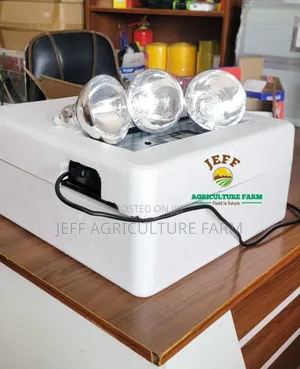 Incubator Mayai 64 Julay 7