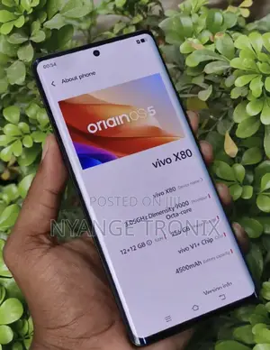 Vivo X80 256 GB Black