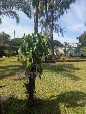 4bdrm Villa in Villas, Masaki for rent