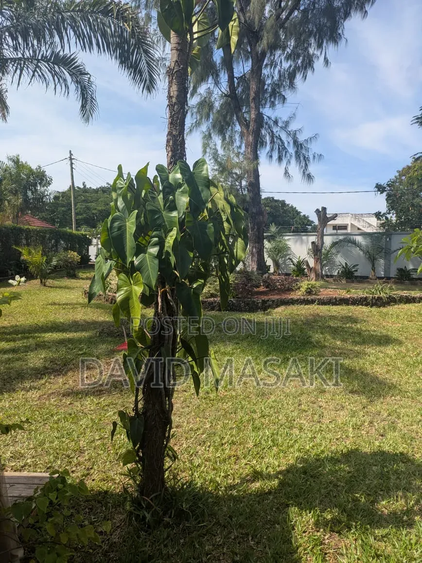 4bdrm Villa in Villas, Masaki for rent